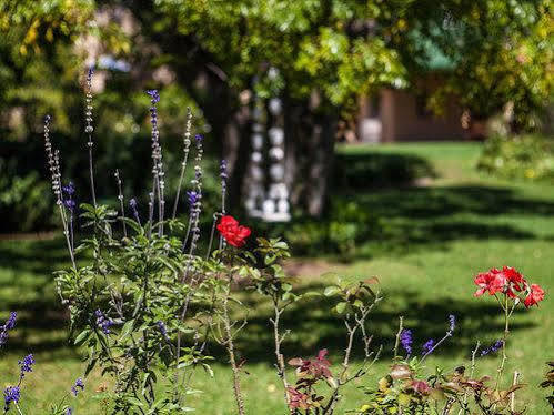 Chartwell Castle & Guest House Luaran gambar